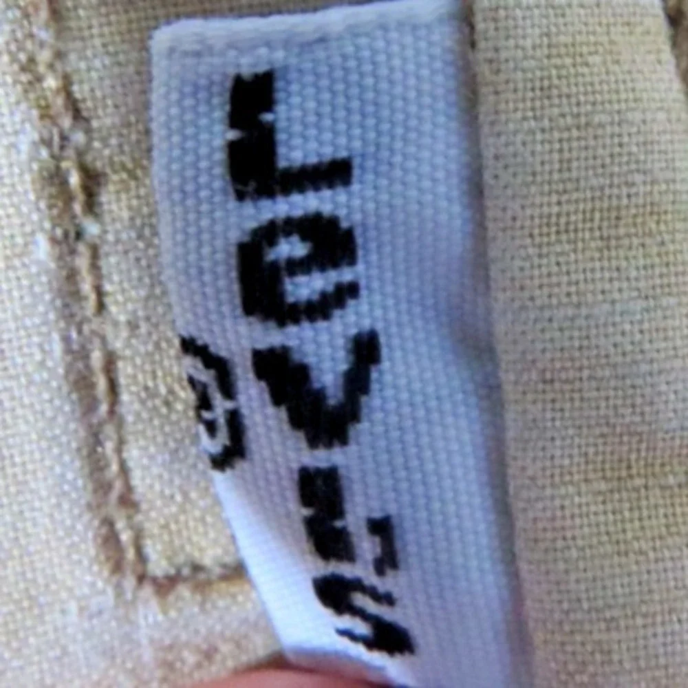 Levis levi cargo